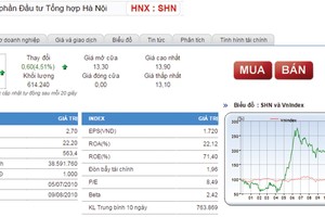 Kỳ vọng gì với cổ phiếu SHN?