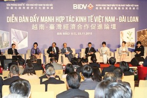 Sức hút mang tên Việt Nam đang lớn dần