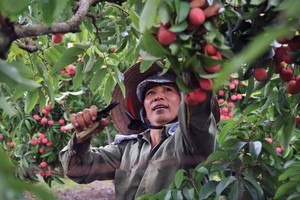 Khó khăn bủa vây, GDP vẫn ước vượt 6,5%