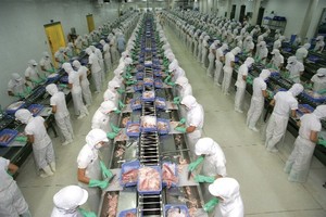 10 tháng đầu năm 2015, kim ngạch xuất khẩu cá tra vào Mỹ đạt khoảng 260 triệu USD, giảm 5%
