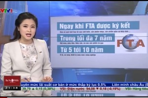 Ý nghĩa của FTA đối với quan hệ kinh tế Việt Nam - EU