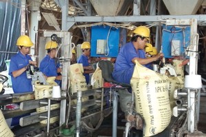 Lợi nhuận trước thuế công ty mẹ BFC ước đạt 240 tỷ đồng