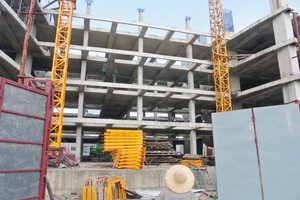 Một số DN chuyển hướng sang phân khúc cao cấp, khi thấy nhu cầu ở phân khúc này tăng lên