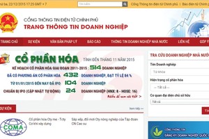 Chuyên trang thông tin DN IPO cần có thêm phiên bản tiếng Anh