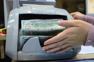 Theo VCBS, rủi ro tỷ giá vẫn là vấn đề nhà đầu tư cần lưu tâm