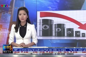 Bản tin tài chính kinh doanh trưa 14-1