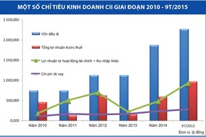 “Để định giá CII, nên tính trọng số 50% cho ông Bình“