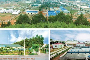 IDV: lợi nhuận quý I/2016 lao dốc