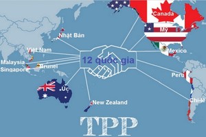 Nhiều tổ chức quốc tế nhận định, Việt Nam sẽ là nền kinh tế hưởng lợi nhiều nhất từ TPP