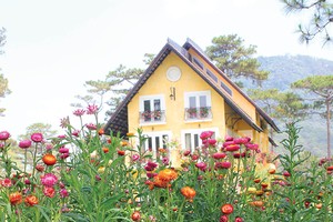 Đời yêu đương