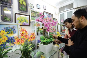 Hoa đất - thú chơi độc đáo ngày Tết