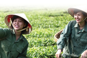 GTN hấp dẫn khối ngoại từ chiến lược mới