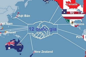 Cam kết của Việt Nam trong lĩnh vực ngân hàng tại Hiệp định Đối tác Xuyên Thái Bình Dương (và trong cả hiệp định thương mại tự do với EU) về cơ bản giống như cam kết đã có khi gia nhập WTO
