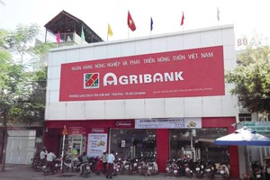 Những thành công từ Đề án tái cơ cấu Agribank