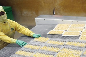 Minh Phú lỗ gần 7 tỷ đồng năm 2015