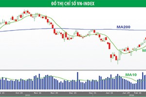 Nhà đầu tư ngắn hạn nên hạn chế mua đuổi 