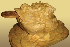 Bày cóc phong thủy, nhiều nhầm lẫn