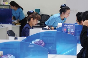 Các nhà băng quy mô nhỏ, vốn ít phải nỗ lực tăng năng lực tài chính, sức cạnh tranh nếu không muốn bị M&A
