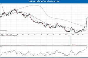 Nhà đầu cơ ưa mạo hiểm có thể xem xét HPG, VCB, GAS, PPC, CNG, TCL, ITD, BIC…