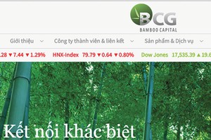 BCG trình nới room 100% cho nhà đầu tư ngoại