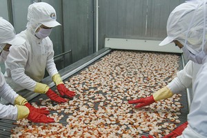 Để tận dụng những ưu đãi thuế quan từ TPP, doanh nghiệp xuất khẩu sẽ phải đáp ứng nhiều yêu cầu khắt khe