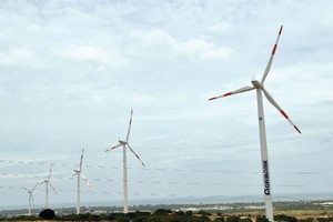 Phần lớn các dự án điện gió ở Ninh Thuận đều thuộc diện chậm tiến độ, nhiều lần bị lãnh đạo tỉnh thúc giục. Ảnh: Đức Thanh