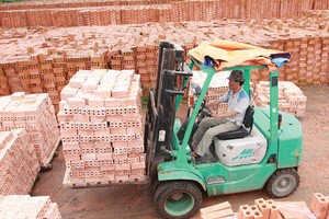 Trong các năm gần đây, số doanh nghiệp gia nhập và rút lui khỏi thị trường cùng tăng