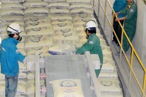 Các thương vụ M&A đưa lại cho các nhà máy xi măng diện mạo mới, tích cực hơn