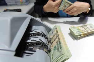 Nhà đầu tư không được sử dụng nguồn vốn vay ngoại tệ trong nước và nước ngoài để đầu tư gián tiếp ra nước ngoài