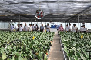 Để phát triển nông nghiệp chất lượng cao, ứng dụng công nghệ vào sản xuất