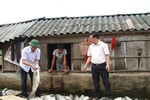 Ám ảnh đánh đổi môi trường và tăng trưởng