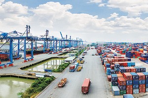 TPP có làm thị phần bảo hiểm teo lại?