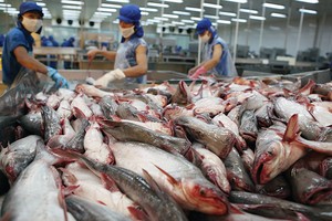 Quý I không phải là mùa tiêu thụ thủy sản, nguyên liệu đầu vào thường khan hiếm và giá cao hơn