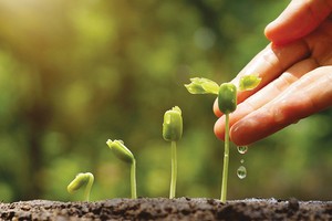 Có khoảng 400 triệu USD dành cho đầu tư khởi nghiệp mỗi năm, nhưng chỉ có 20 dự án được chọn, trong đó các dự án tại Việt Nam rất ít