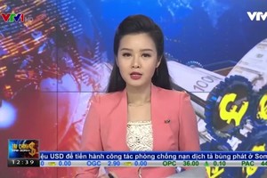Bản tin tài chính kinh doanh trưa 31-5