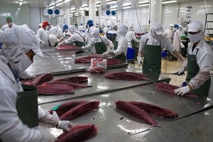 EU cảnh báo về cá chết, Vasep khẳng định hải sản xuất khẩu đảm bảo chất lượng