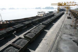 TC6 phát hành 19,49 triệu cổ phiếu thưởng tỷ lệ 150%