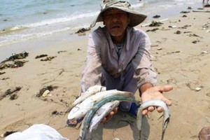 Nguyên nhân gây ra hiện tượng cá chết cho đến nay vẫn chưa được chính thức công bố