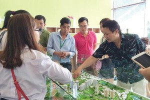 Khách hàng tìm hiểu Dự án Ecolife Capital (đường Lê Văn Lương) thuộc danh sách 45 dự án mới công bố.