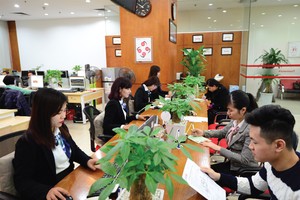 Quy mô vốn khiêm tốn, nhưng MSI lọt vào Top 10 thị phần môi giới tại HNX và Top 15 thị phần môi giới tại HOSE 
