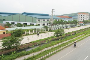 Cổ phiếu CIG khởi sắc nhờ được thâu tóm