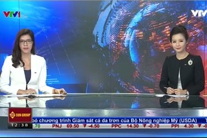 Bản tin tài chính kinh doanh trưa 24-6