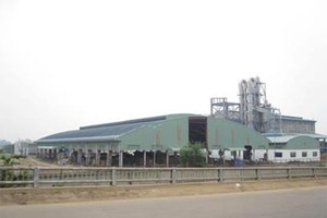 Dự án Nhà máy bột Giấy Phương Nam: Đầu tư 3.000 tỷ đồng để bán 0 đồng? 