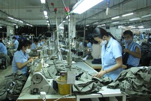 Với thế mạnh về dệt nhuộm và sản xuất vải, Vinatex kỳ vọng Canclini sẽ hỗ trợ Tập đoàn trong việc hoàn thiện chuỗi cung ứng, tăng tỷ lệ cung ứng vải.