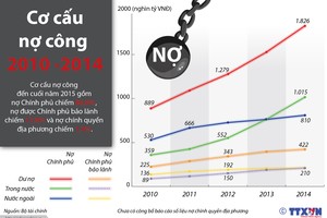 [infoGraphics] Cơ cấu nợ công của Việt Nam tính đến cuối năm 2015 