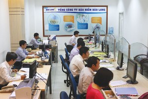 Bảo Long - Hành trình phát triển bền vững