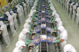 VHC lãi 306 tỷ đồng trong 6 tháng, đạt trên 87% kế hoạch năm