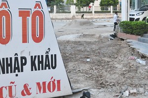 Doanh nghiệp ô tô chờ định đoạt số phận Thông tư 20