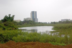 Giải phóng mặt bằng Khu công nghệ cao Hòa Lạc: Những mảnh đất bị “lãng quên” 