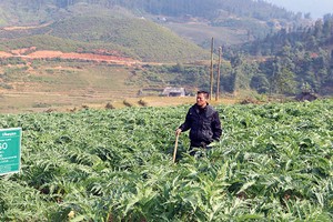 Traphaco: Câu chuyện thương hiệu số 1 ngành dược